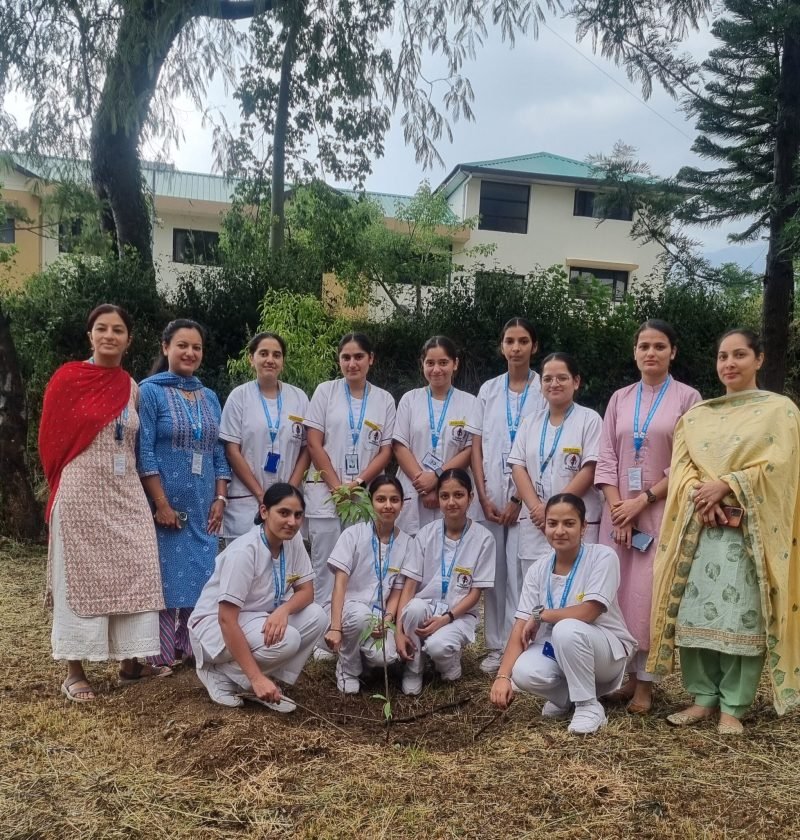 tree plantation (1)